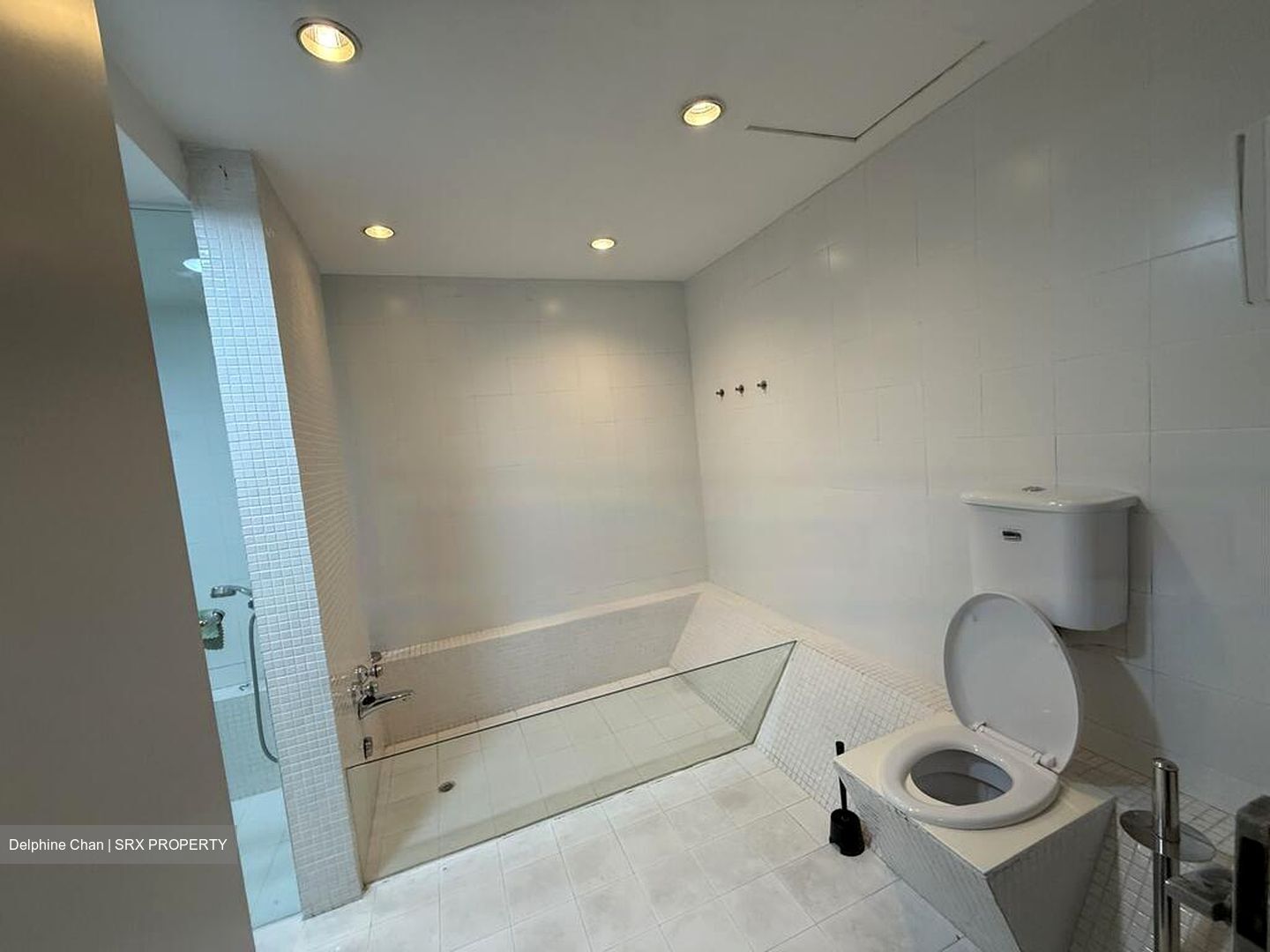 Sommerville Grandeur (D10), Condominium #470572611